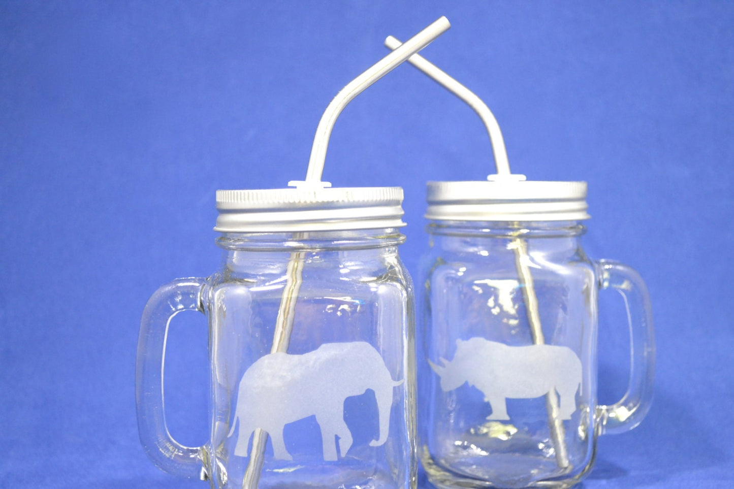 (H) Rhino and Elephant Drinking Glass Set