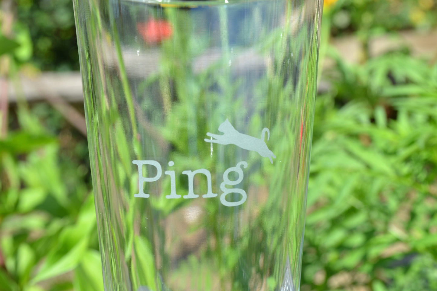 (H) Pint Glass, Custom Pint Glass, Kitty Cat