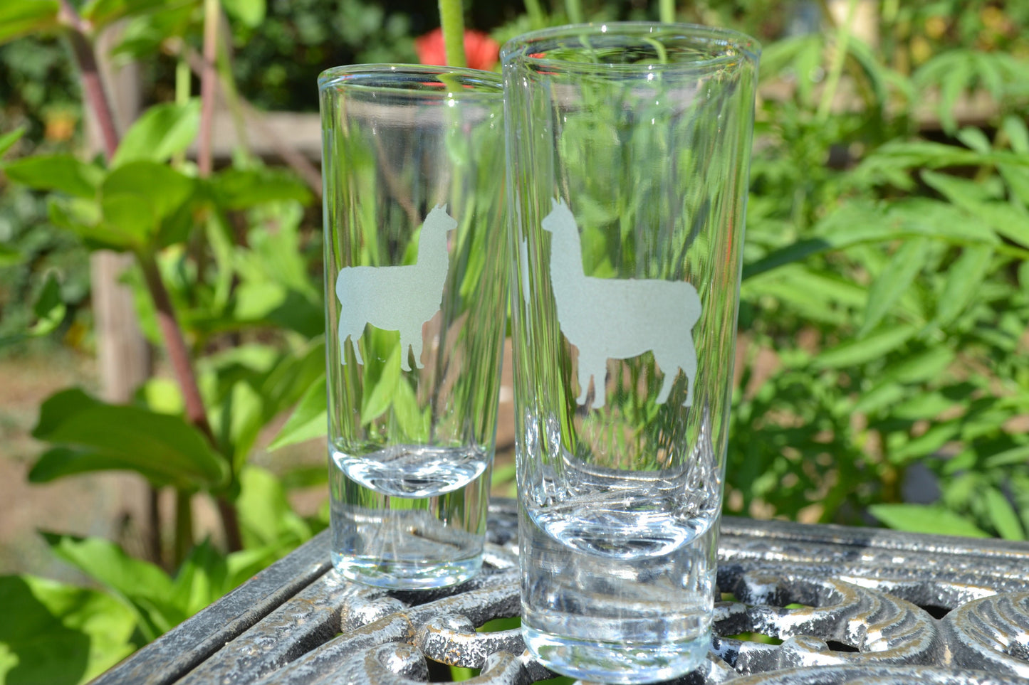 (I) Shot Glasses, Llama Shot Glasses, Glass Set