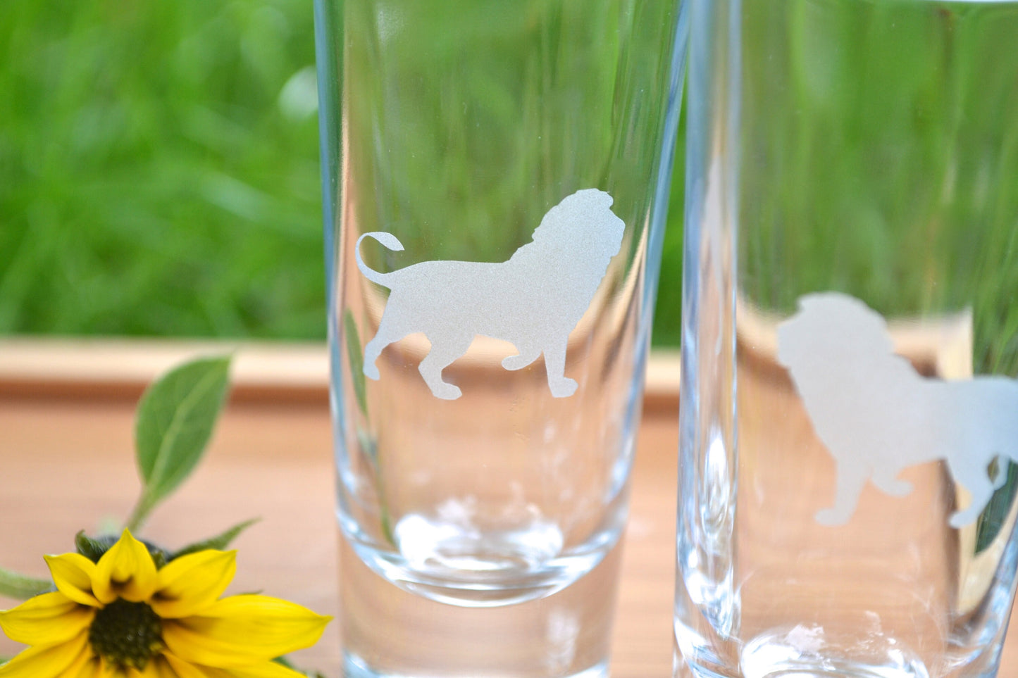 (I) Shot Glasses, Lion Shot Glasses, Glass Set