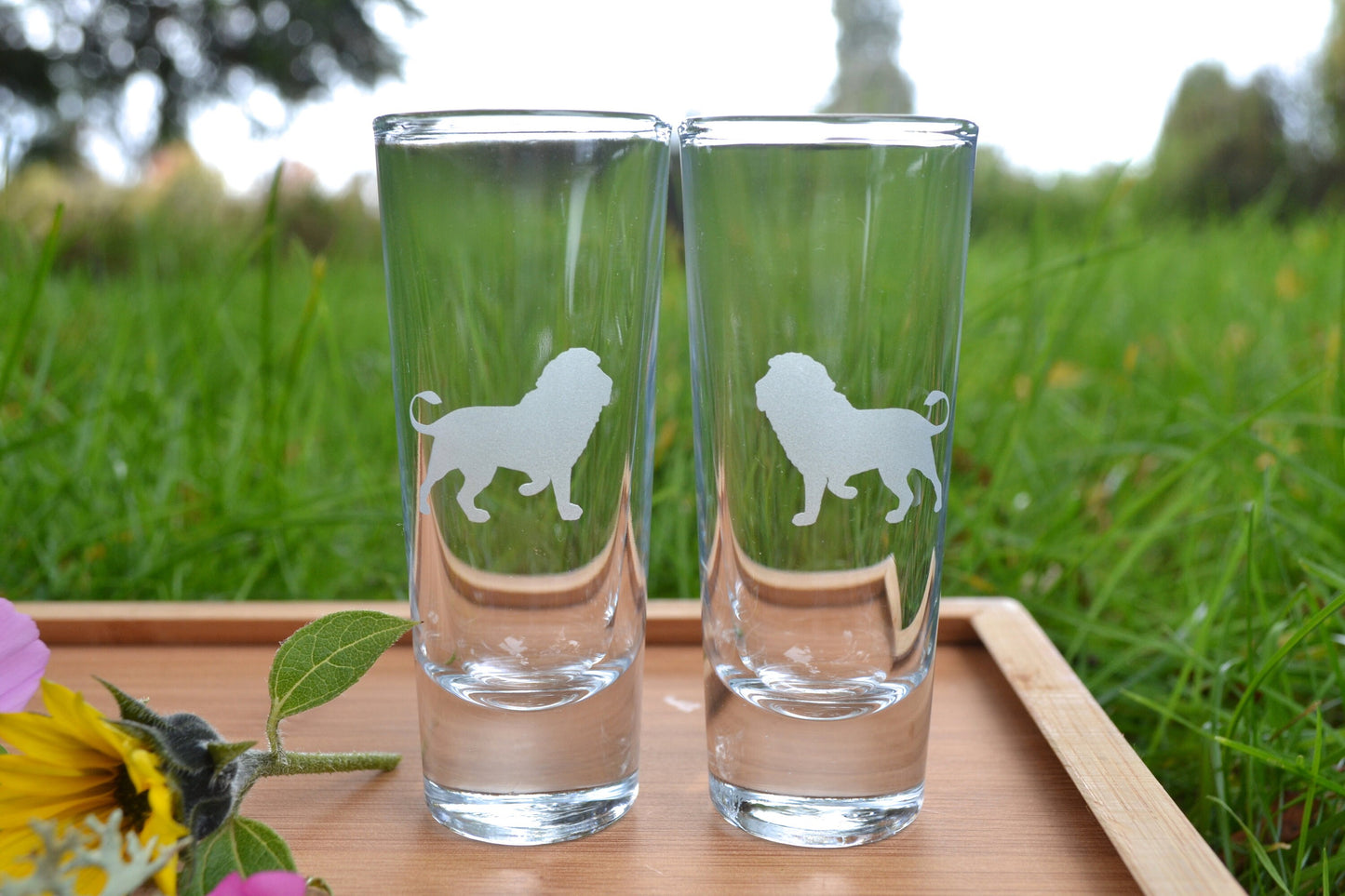 (I) Shot Glasses, Lion Shot Glasses, Glass Set