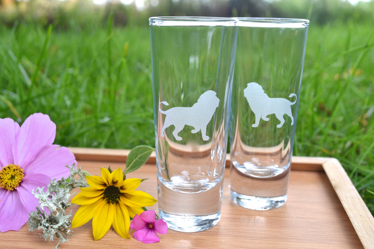 (I) Shot Glasses, Lion Shot Glasses, Glass Set