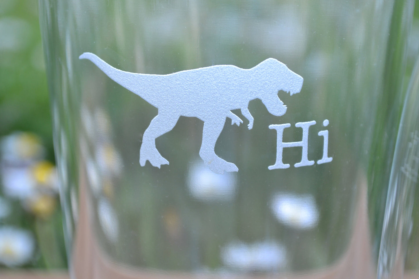 (H) Pint and Wine Glasses, Dinosaur Glassware