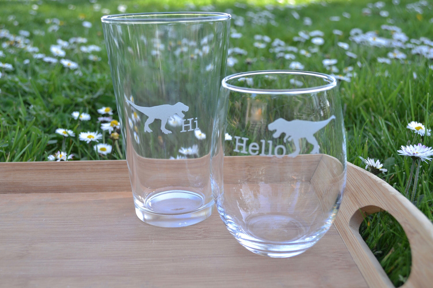 (H) Pint and Wine Glasses, Dinosaur Glassware